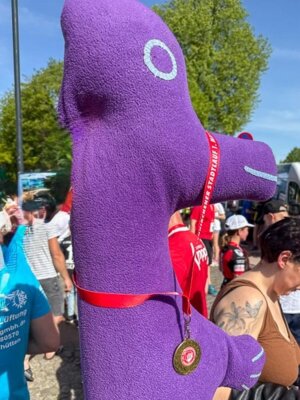 Foto des Albums: Stadtlauf 2025
