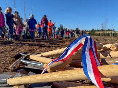 Foto des Albums: Baumpflanzaktion der Eingangsklassen 2025