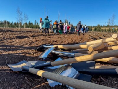 Foto des Albums: Baumpflanzaktion der Eingangsklassen 2025