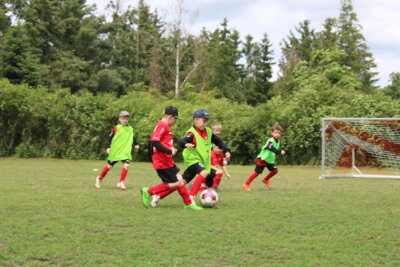 Foto des Albums: Fußballcamp 2025
