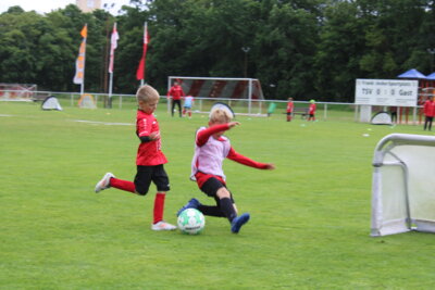 Foto des Albums: Fußballcamp 2025