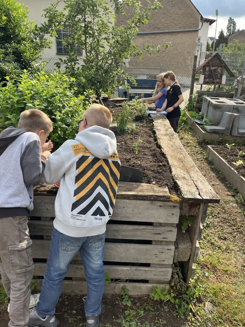 Bild: Foto Unser Hochbeet