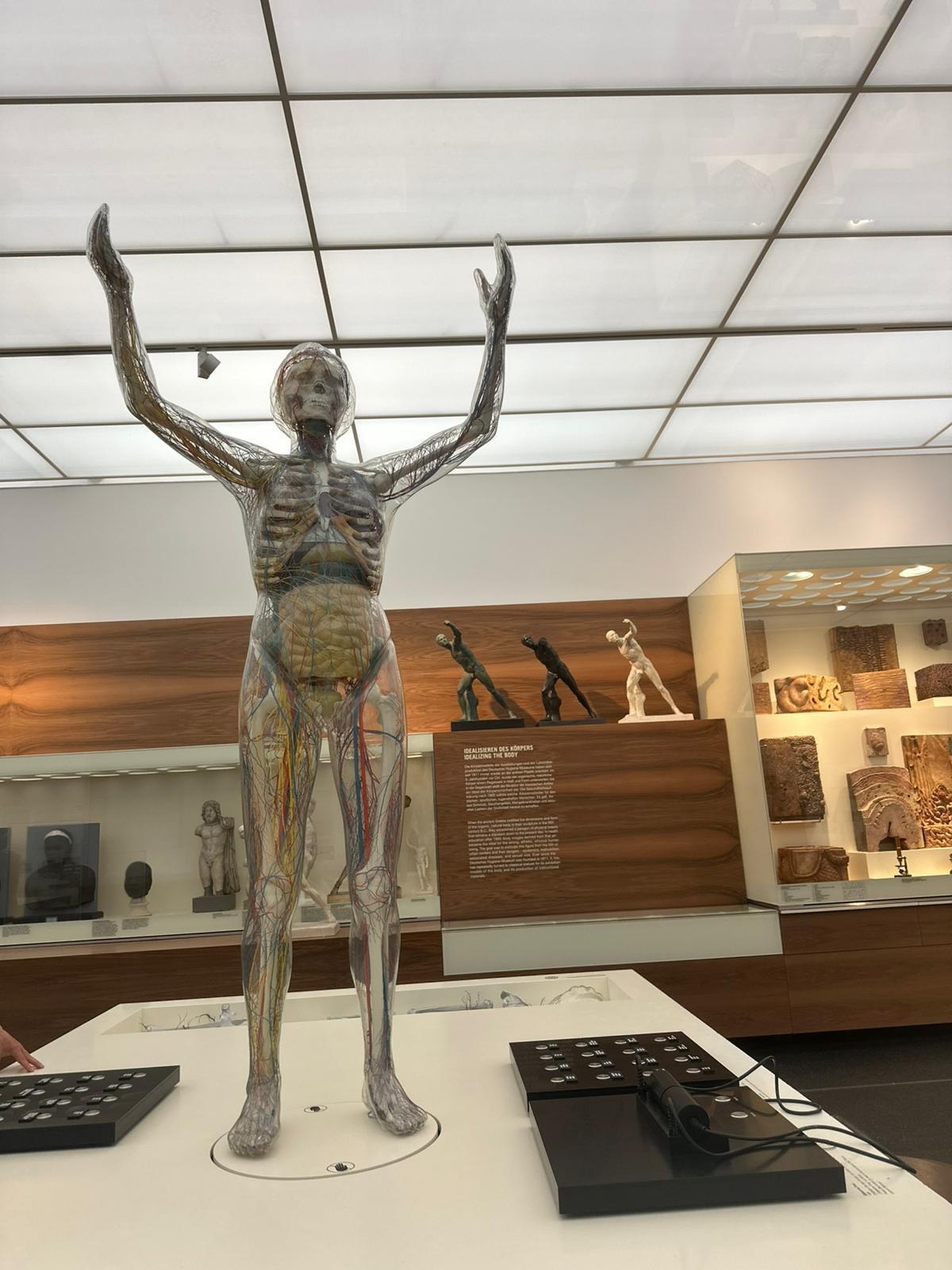Bild der Galerie