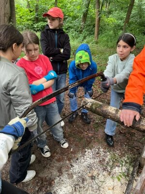 Waldjugendspiele 2025 (14) 