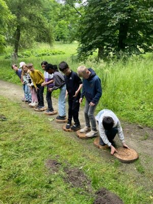 Waldjugendspiele 2025 (2) 