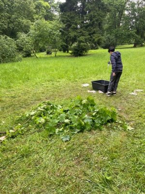Waldjugendspiele 2025 (23) 