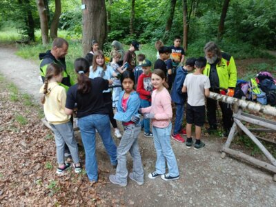 Waldjugendspiele 2025 (30) 