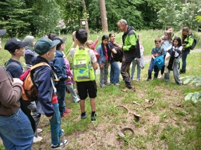 Waldjugendspiele 2025 (31) 