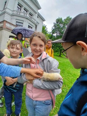 Waldjugendspiele 2025 (32) 