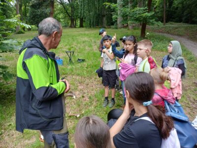 Waldjugendspiele 2025 (33) 