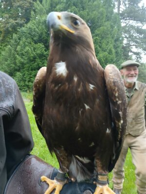Waldjugendspiele 2025 (36) 