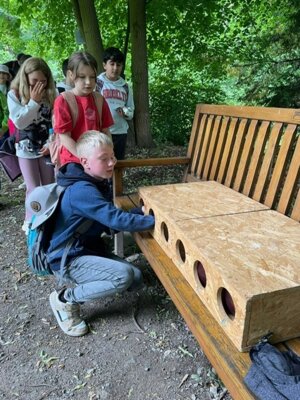 Waldjugendspiele 2025 (6) 
