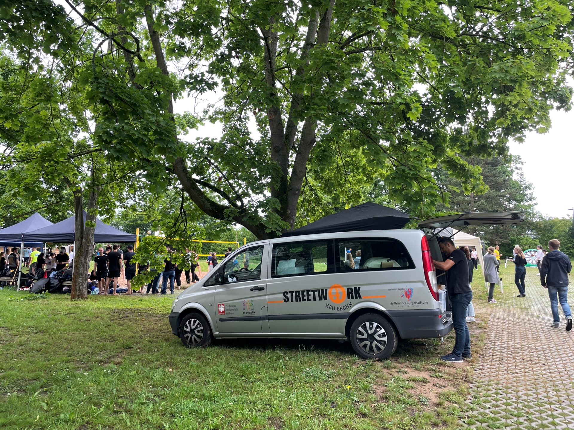 Bild der Galerie