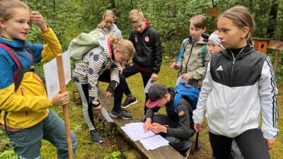 Foto des Albums: Waldjugendspiele in Stannewisch – Natur erleben mit allen Sinnen