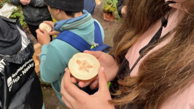 Foto des Albums: Waldjugendspiele in Stannewisch – Natur erleben mit allen Sinnen