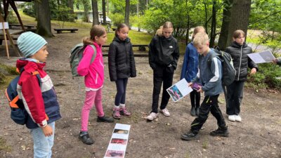 Foto des Albums: Waldjugendspiele in Stannewisch – Natur erleben mit allen Sinnen