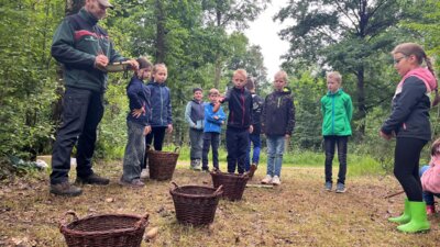 Foto des Albums: Waldjugendspiele in Stannewisch – Natur erleben mit allen Sinnen