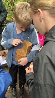 Foto des Albums: Waldjugendspiele in Stannewisch – Natur erleben mit allen Sinnen