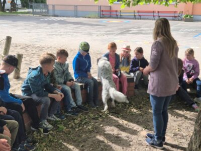 Fotoalbum Heimtiere Klasse 2b