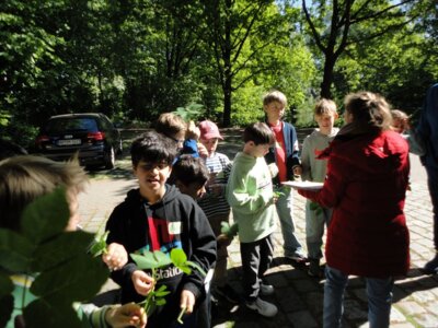 Vorschaubild der Galerie