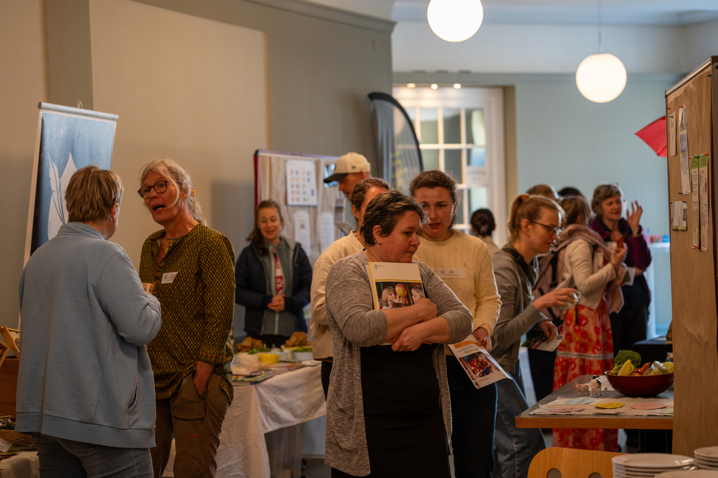 Bild der Galerie