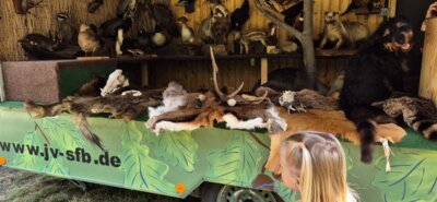 rollende Waldschule  (Bild vergrößern)