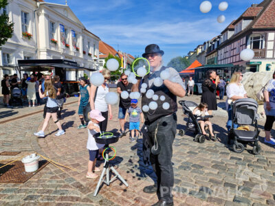 Foto des Albums: Pritzwalker Festtage bei bestem Sommerwetter