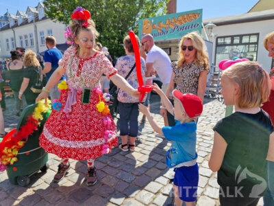 Foto des Albums: Pritzwalker Festtage bei bestem Sommerwetter