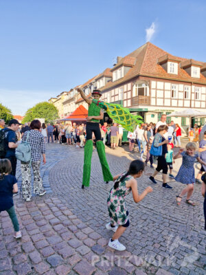 Foto des Albums: Pritzwalker Festtage bei bestem Sommerwetter
