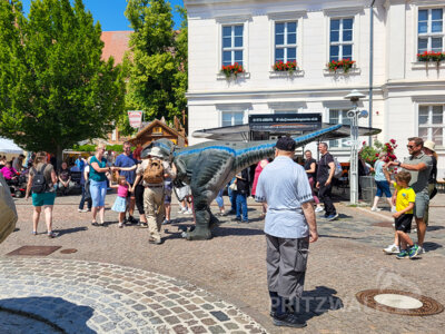 Foto des Albums: Pritzwalker Festtage 2025 - der Samstagnachmittag