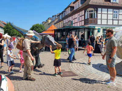 Foto des Albums: Pritzwalker Festtage 2025 - der Samstagnachmittag