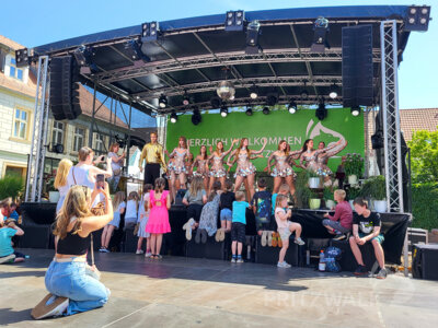 Foto des Albums: Pritzwalker Festtage 2025 - der Samstagnachmittag