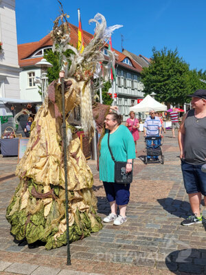 Foto des Albums: Pritzwalker Festtage 2025 - der Samstagnachmittag