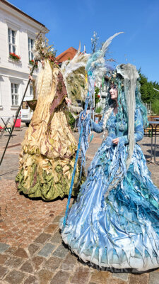 Foto des Albums: Pritzwalker Festtage 2025 - der Samstagnachmittag