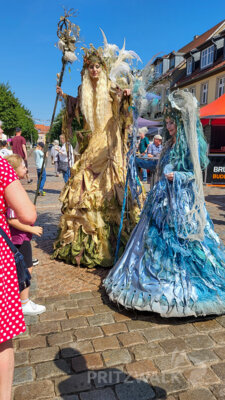 Foto des Albums: Pritzwalker Festtage 2025 - der Samstagnachmittag