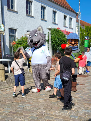 Foto des Albums: Pritzwalker Festtage 2025 - der Samstagnachmittag