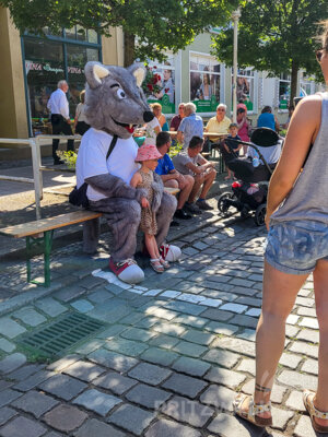 Foto des Albums: Pritzwalker Festtage 2025 - der Samstagnachmittag