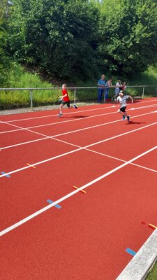 Foto des Albums: Sportfest 2025