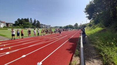 Foto des Albums: Sportfest 2025