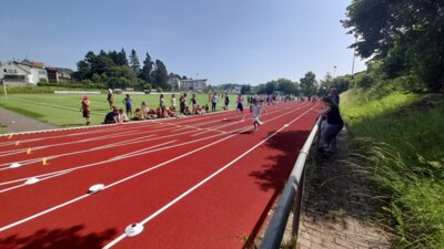 Foto des Albums: Sportfest 2025