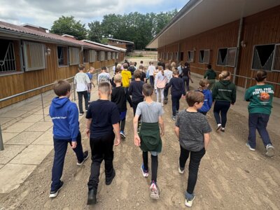 Foto des Albums: Klassenfahrt der Klasse 3, Juni 2025