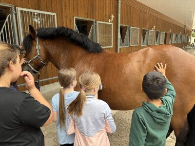 Foto des Albums: Klassenfahrt der Klasse 3, Juni 2025
