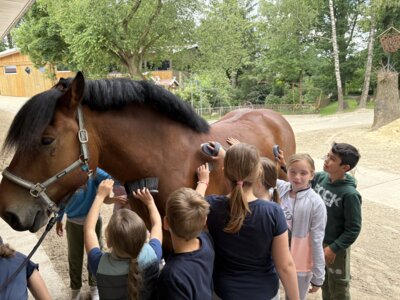 Foto des Albums: Klassenfahrt der Klasse 3, Juni 2025