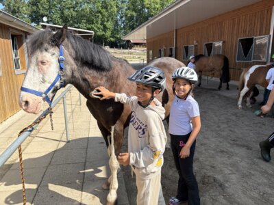 Foto des Albums: Klassenfahrt der Klasse 3, Juni 2025