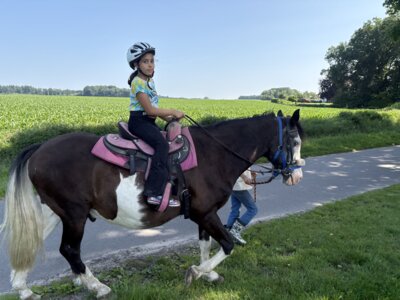 Foto des Albums: Klassenfahrt der Klasse 3, Juni 2025