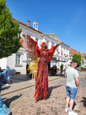Foto des Albums: Pritzwalker Festtage 2025 - Samstagnachmittag und Abend