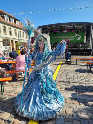 Foto des Albums: Pritzwalker Festtage 2025 - Samstagnachmittag und Abend