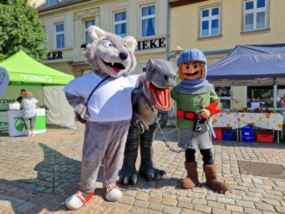 Foto des Albums: Pritzwalker Festtage 2025 - Samstagnachmittag und Abend