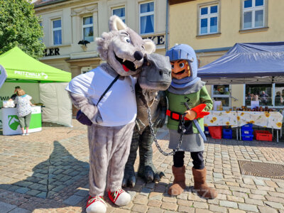 Foto des Albums: Pritzwalker Festtage 2025 - Samstagnachmittag und Abend