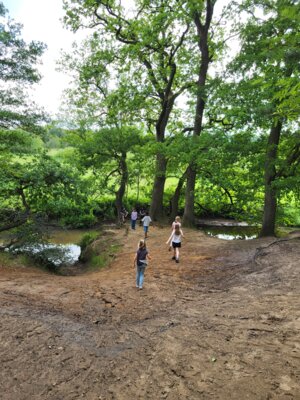 Foto des Albums: Klassenfahrt 3a und 3b 2025